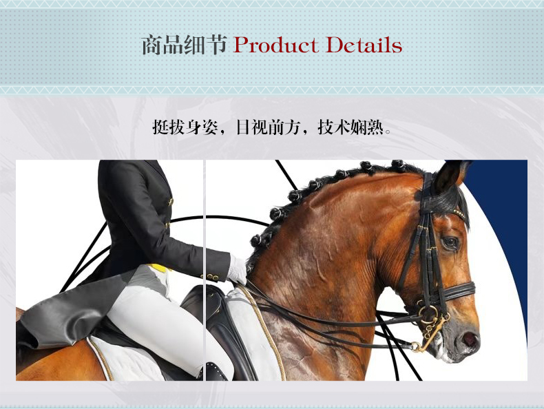 現(xiàn)代簡(jiǎn)約客廳裝飾畫 歐式玄關(guān)走廊壁畫 法式晶瓷畫 純手繪油畫 馬背上的女子