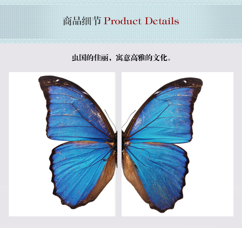 現(xiàn)代輕奢簡歐動物裝飾畫 餐廳蝴蝶標(biāo)本鋁合金框晶瓷畫 純手繪油畫 蝶舞